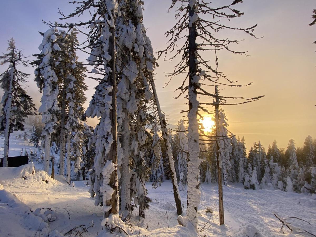 Yager Chalet Poiana Brasov Eksteriør bilde