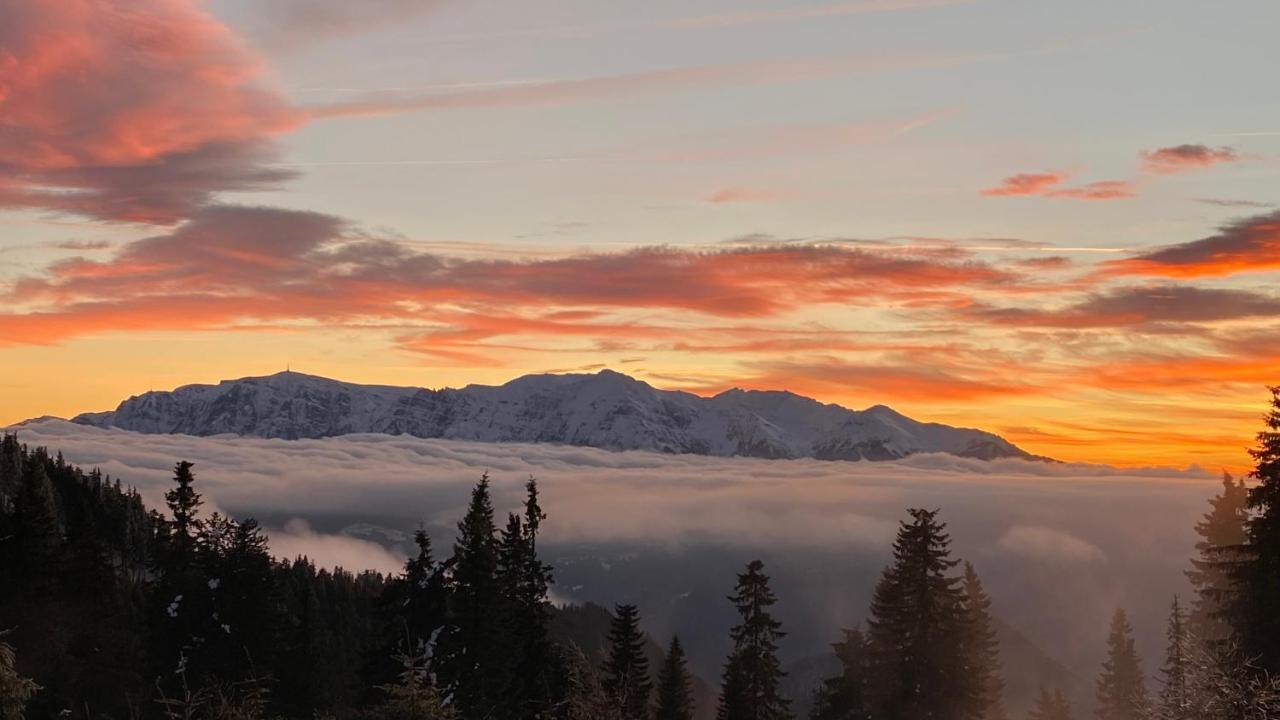 Yager Chalet Poiana Brasov Eksteriør bilde