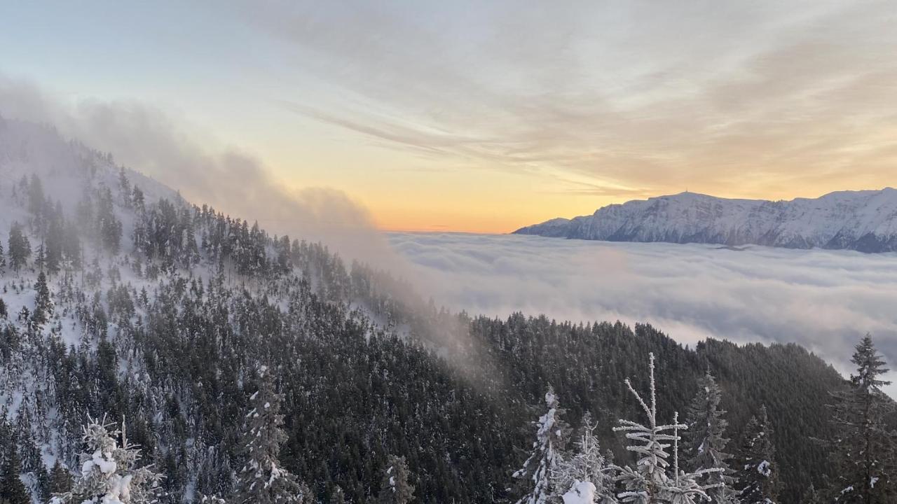 Yager Chalet Poiana Brasov Eksteriør bilde